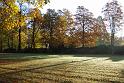 2009-10-26, Herbstfärbung (2)